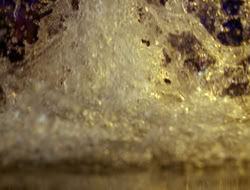 3x12-TheBitterSuite_001343