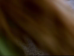 3x12-TheBitterSuite_003162