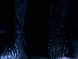 extant_XenaWarriorPrincess_4x01-AdventuresInTheSinTrade_00061