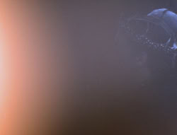 extant_XenaWarriorPrincess_4x01-AdventuresInTheSinTrade_00113