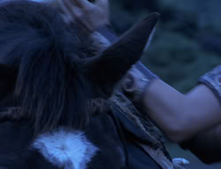 extant_XenaWarriorPrincess_4x01-AdventuresInTheSinTrade_00216