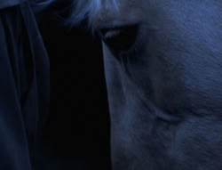 extant_XenaWarriorPrincess_4x01-AdventuresInTheSinTrade_00224