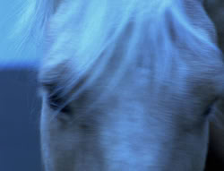 extant_XenaWarriorPrincess_4x01-AdventuresInTheSinTrade_00251