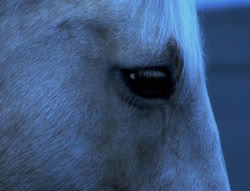 extant_XenaWarriorPrincess_4x01-AdventuresInTheSinTrade_00253