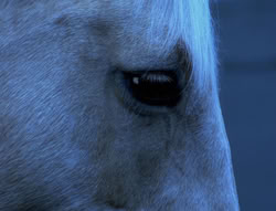 extant_XenaWarriorPrincess_4x01-AdventuresInTheSinTrade_00254