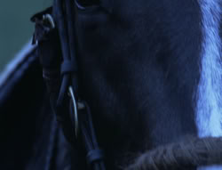 extant_XenaWarriorPrincess_4x01-AdventuresInTheSinTrade_00257