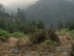 extant_XenaWarriorPrincess_4x01-AdventuresInTheSinTrade_00437