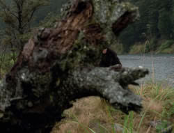 extant_XenaWarriorPrincess_4x01-AdventuresInTheSinTrade_00449