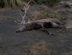 extant_XenaWarriorPrincess_4x01-AdventuresInTheSinTrade_00473