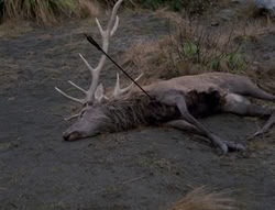 extant_XenaWarriorPrincess_4x01-AdventuresInTheSinTrade_00474