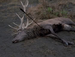 extant_XenaWarriorPrincess_4x01-AdventuresInTheSinTrade_00475