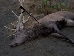 extant_XenaWarriorPrincess_4x01-AdventuresInTheSinTrade_00476