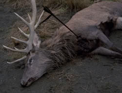 extant_XenaWarriorPrincess_4x01-AdventuresInTheSinTrade_00477