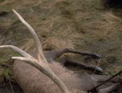 extant_XenaWarriorPrincess_4x01-AdventuresInTheSinTrade_00496