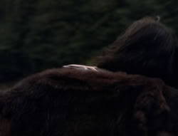 extant_XenaWarriorPrincess_4x01-AdventuresInTheSinTrade_00516