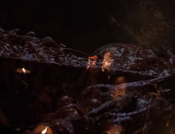 extant_XenaWarriorPrincess_4x01-AdventuresInTheSinTrade_00601