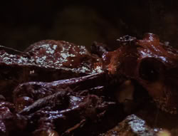 extant_XenaWarriorPrincess_4x01-AdventuresInTheSinTrade_00603