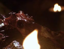 extant_XenaWarriorPrincess_4x01-AdventuresInTheSinTrade_00606