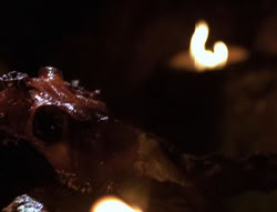 extant_XenaWarriorPrincess_4x01-AdventuresInTheSinTrade_00607