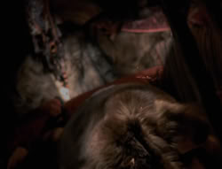 extant_XenaWarriorPrincess_4x01-AdventuresInTheSinTrade_00639