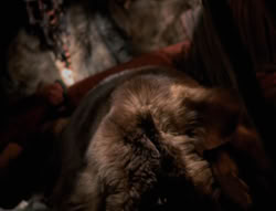 extant_XenaWarriorPrincess_4x01-AdventuresInTheSinTrade_00640