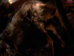 extant_XenaWarriorPrincess_4x01-AdventuresInTheSinTrade_00642