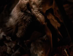 extant_XenaWarriorPrincess_4x01-AdventuresInTheSinTrade_00643
