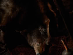 extant_XenaWarriorPrincess_4x01-AdventuresInTheSinTrade_00644