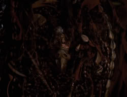 extant_XenaWarriorPrincess_4x01-AdventuresInTheSinTrade_00957