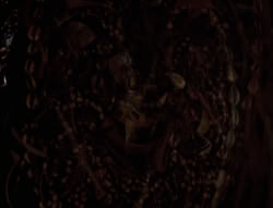 extant_XenaWarriorPrincess_4x01-AdventuresInTheSinTrade_00958