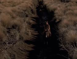 extant_XenaWarriorPrincess_4x01-AdventuresInTheSinTrade_01011