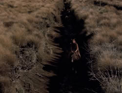 extant_XenaWarriorPrincess_4x01-AdventuresInTheSinTrade_01012