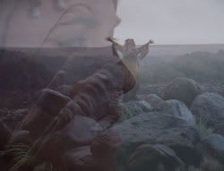 extant_XenaWarriorPrincess_4x01-AdventuresInTheSinTrade_01023
