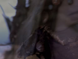 extant_XenaWarriorPrincess_4x01-AdventuresInTheSinTrade_01059