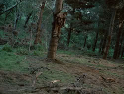 extant_XenaWarriorPrincess_4x01-AdventuresInTheSinTrade_01077