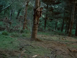 extant_XenaWarriorPrincess_4x01-AdventuresInTheSinTrade_01079