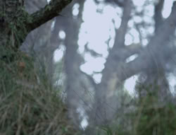 extant_XenaWarriorPrincess_4x01-AdventuresInTheSinTrade_01084