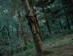extant_XenaWarriorPrincess_4x01-AdventuresInTheSinTrade_01105