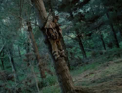 extant_XenaWarriorPrincess_4x01-AdventuresInTheSinTrade_01106