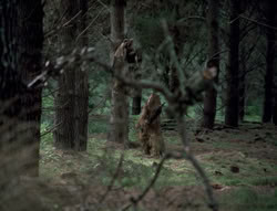 extant_XenaWarriorPrincess_4x01-AdventuresInTheSinTrade_01115