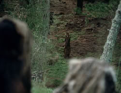 extant_XenaWarriorPrincess_4x01-AdventuresInTheSinTrade_01131
