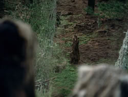 extant_XenaWarriorPrincess_4x01-AdventuresInTheSinTrade_01134