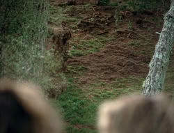 extant_XenaWarriorPrincess_4x01-AdventuresInTheSinTrade_01143