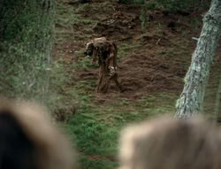 extant_XenaWarriorPrincess_4x01-AdventuresInTheSinTrade_01145