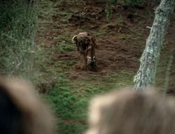 extant_XenaWarriorPrincess_4x01-AdventuresInTheSinTrade_01146