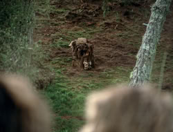 extant_XenaWarriorPrincess_4x01-AdventuresInTheSinTrade_01147