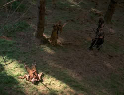 extant_XenaWarriorPrincess_4x01-AdventuresInTheSinTrade_01186