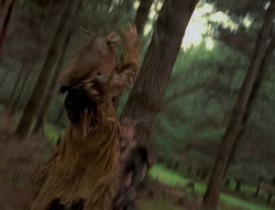extant_XenaWarriorPrincess_4x01-AdventuresInTheSinTrade_01188