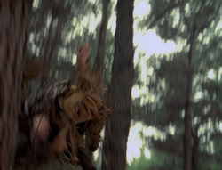 extant_XenaWarriorPrincess_4x01-AdventuresInTheSinTrade_01189