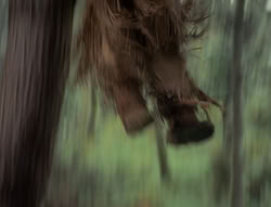 extant_XenaWarriorPrincess_4x01-AdventuresInTheSinTrade_01192